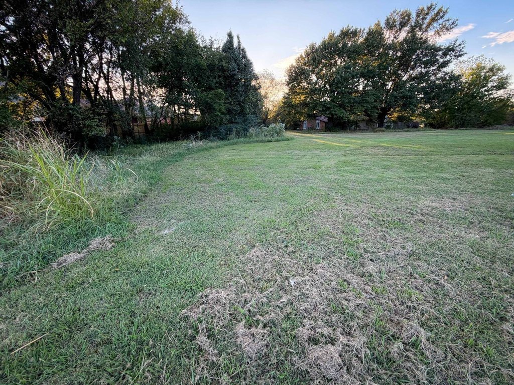 Picture 30