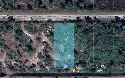 Polk County Vacant Land Parcel