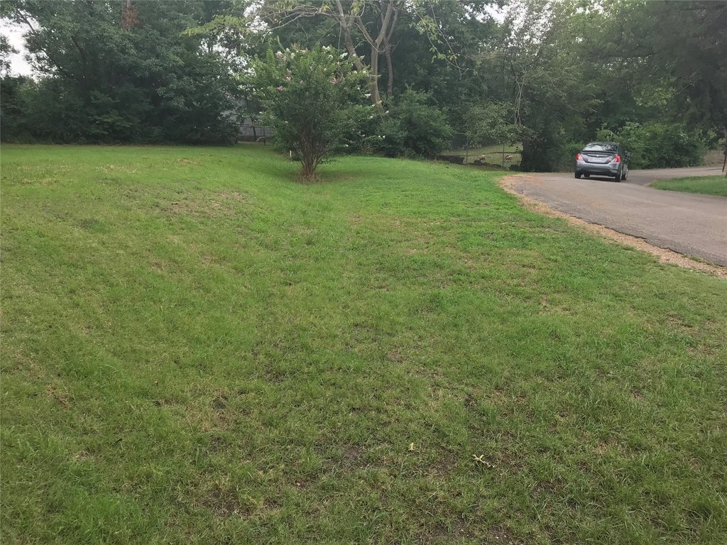 Picture 3
