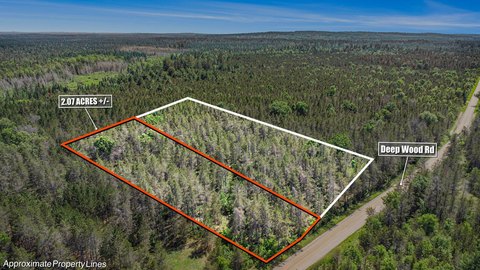 Roscommon Wooded Land Parcel