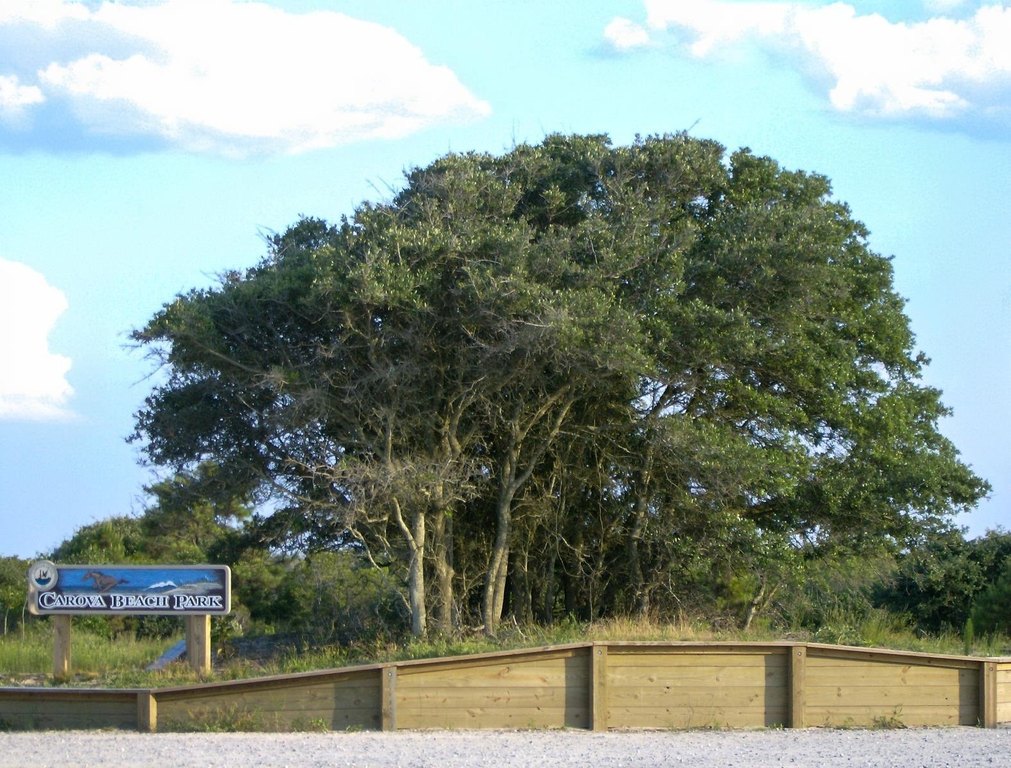 Picture 9
