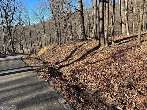 Gently Sloping Mountain View Lot