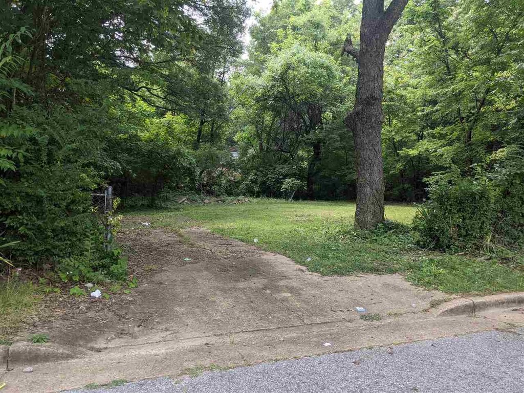 Picture 5