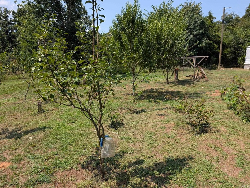 Picture 9