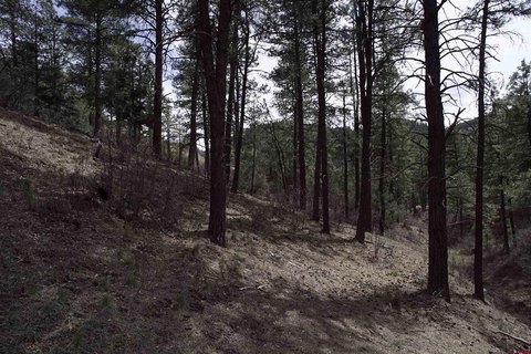 Land in Pagosa Springs, CO