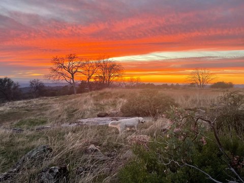 Ranch Land on Cul-de-Sac