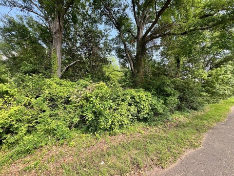 Wooded Commercial Land Tract