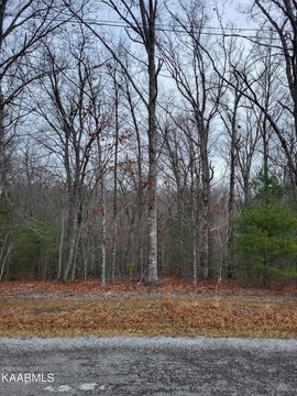 Crossville, TN Wooded Lot