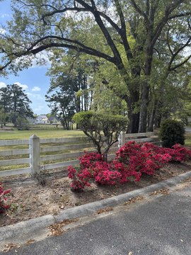 Georgetown Land For Sale