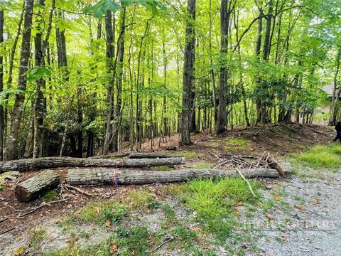 Land, Beech Mountain, NC