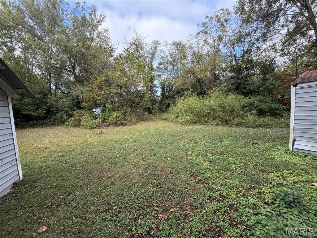 Picture 5