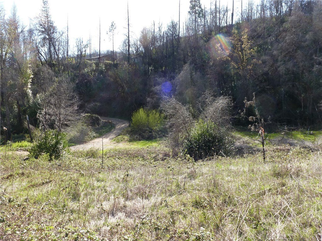 Picture 11