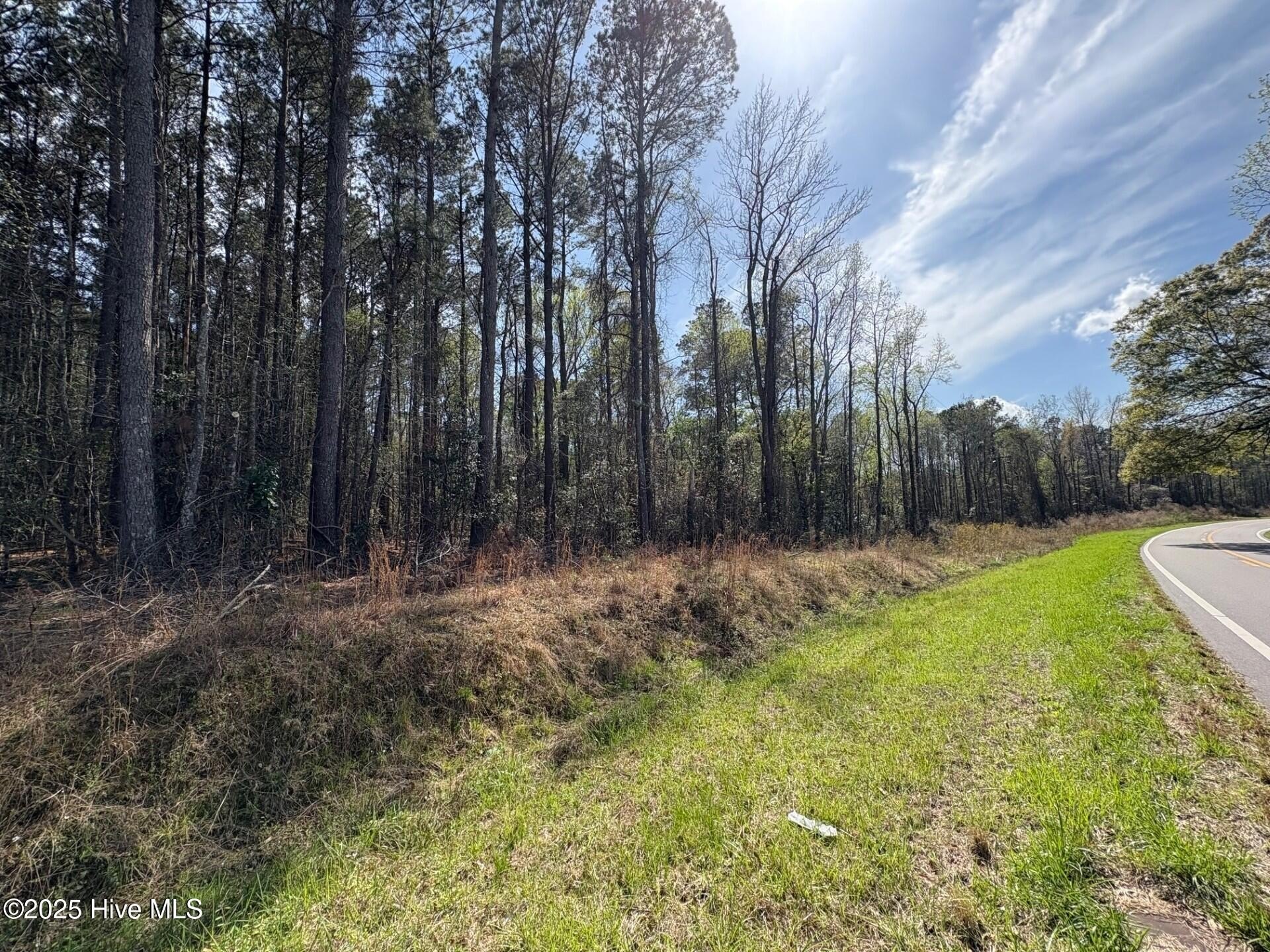 Land Near Black River