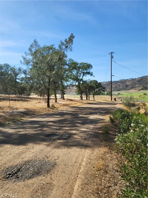 Picture 16