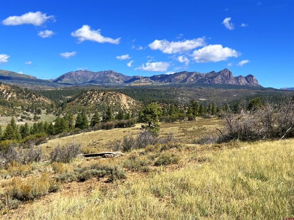 Picture 17