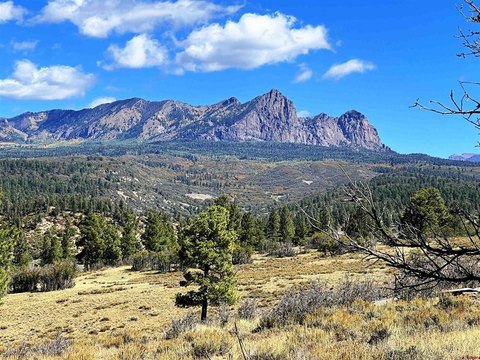 LAND, Pagosa Springs, CO
