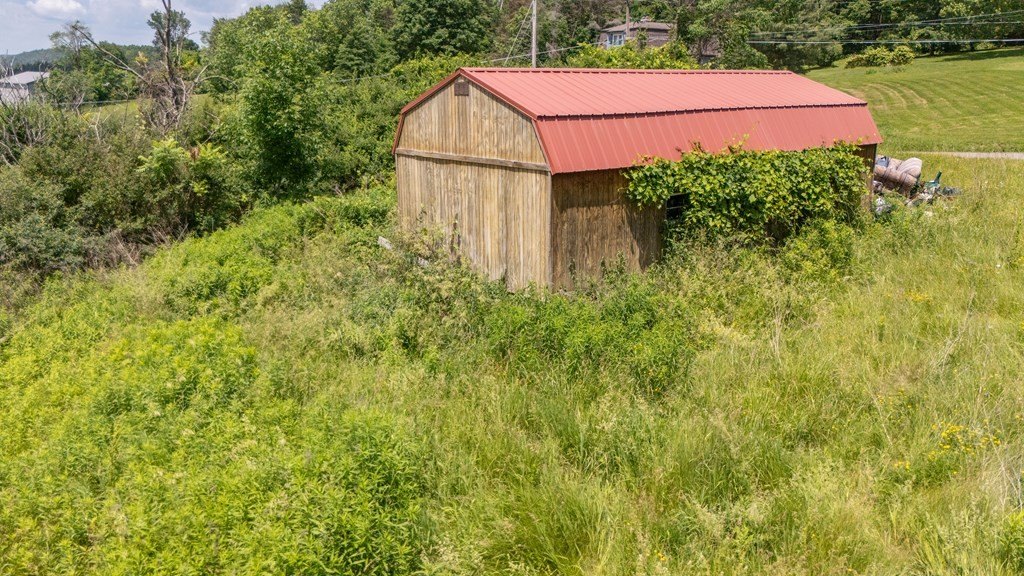 Picture 12