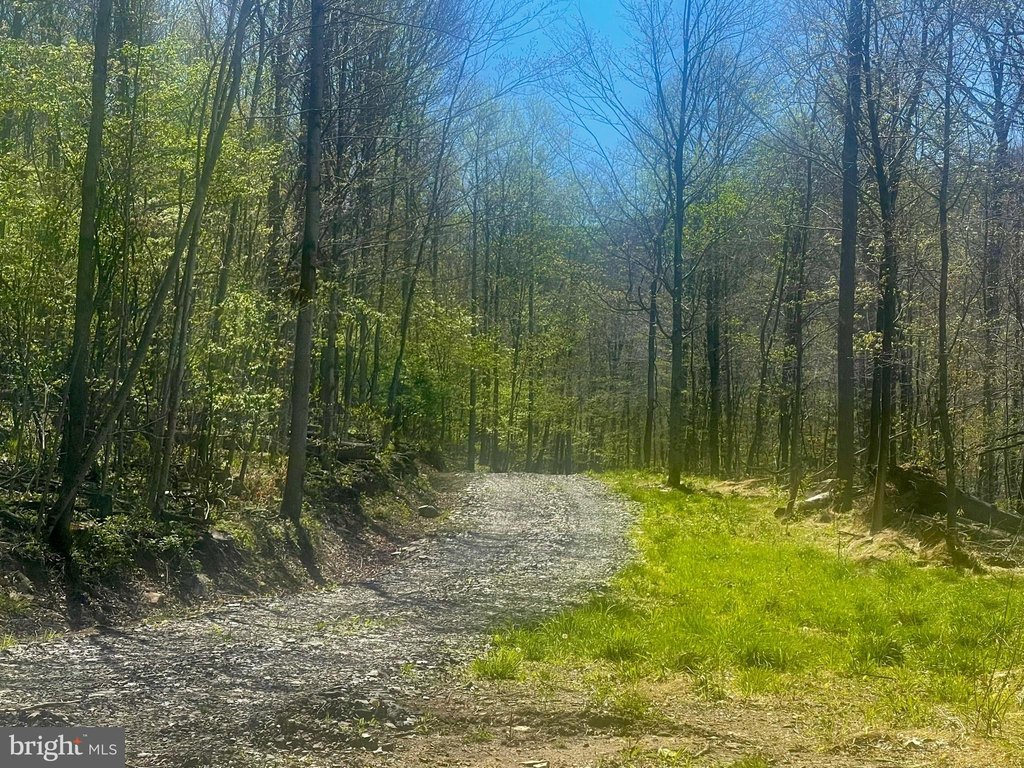 Picture 11