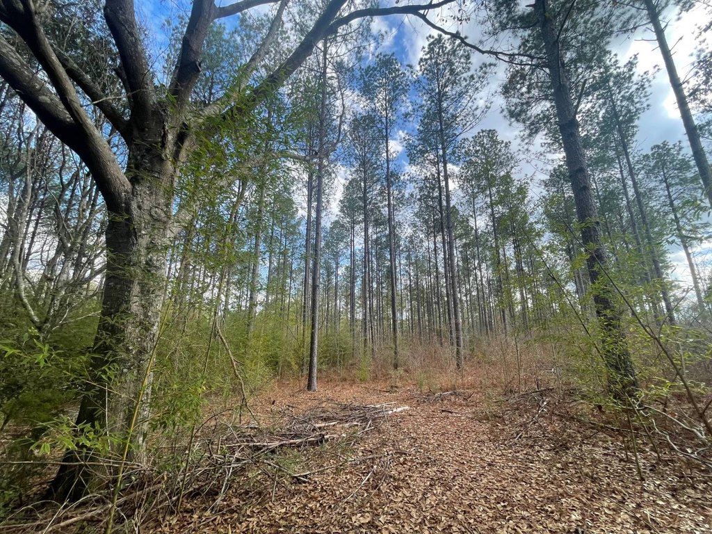 Picture 2