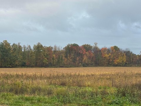 Austinburg Land For Sale