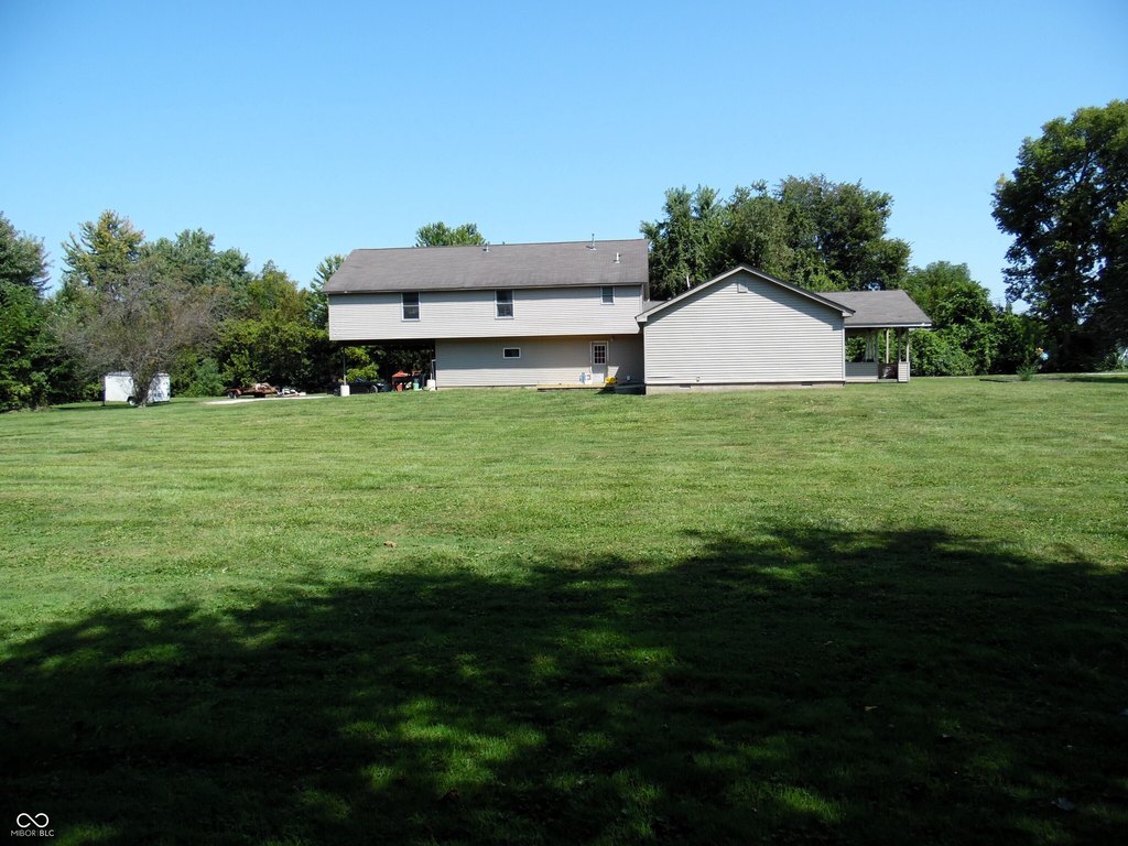 Picture 5