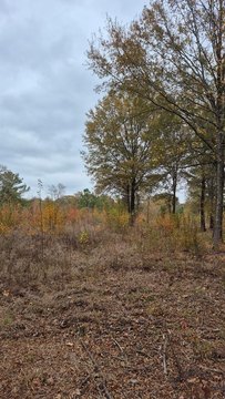 Secluded Hunting Land in Detroit, TX