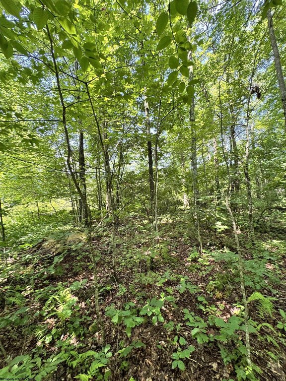Picture 4