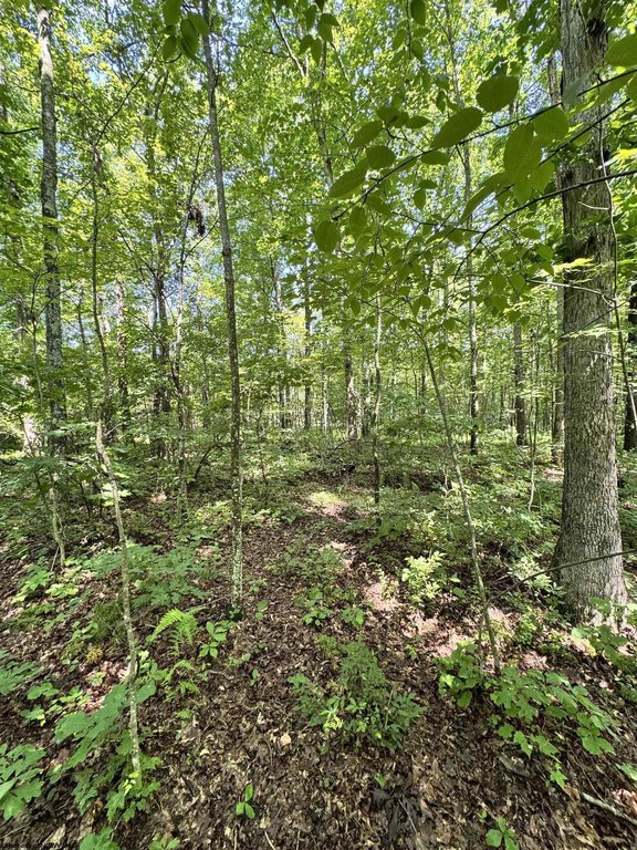 Picture 3