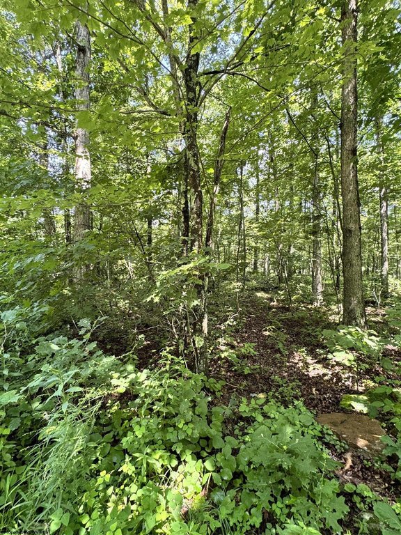 Picture 11
