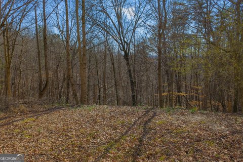 Ellijay, GA Land For Sale