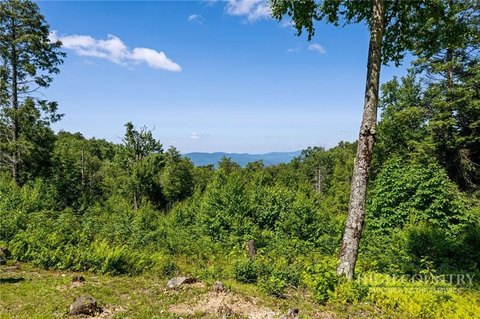 Gently Sloping Mountain View Lot