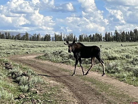 LAND, Powderhorn, CO