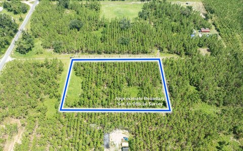 Vacant Land, Dowling Park, FL