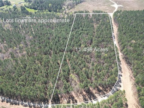 Seagrove Land with Mature Timber