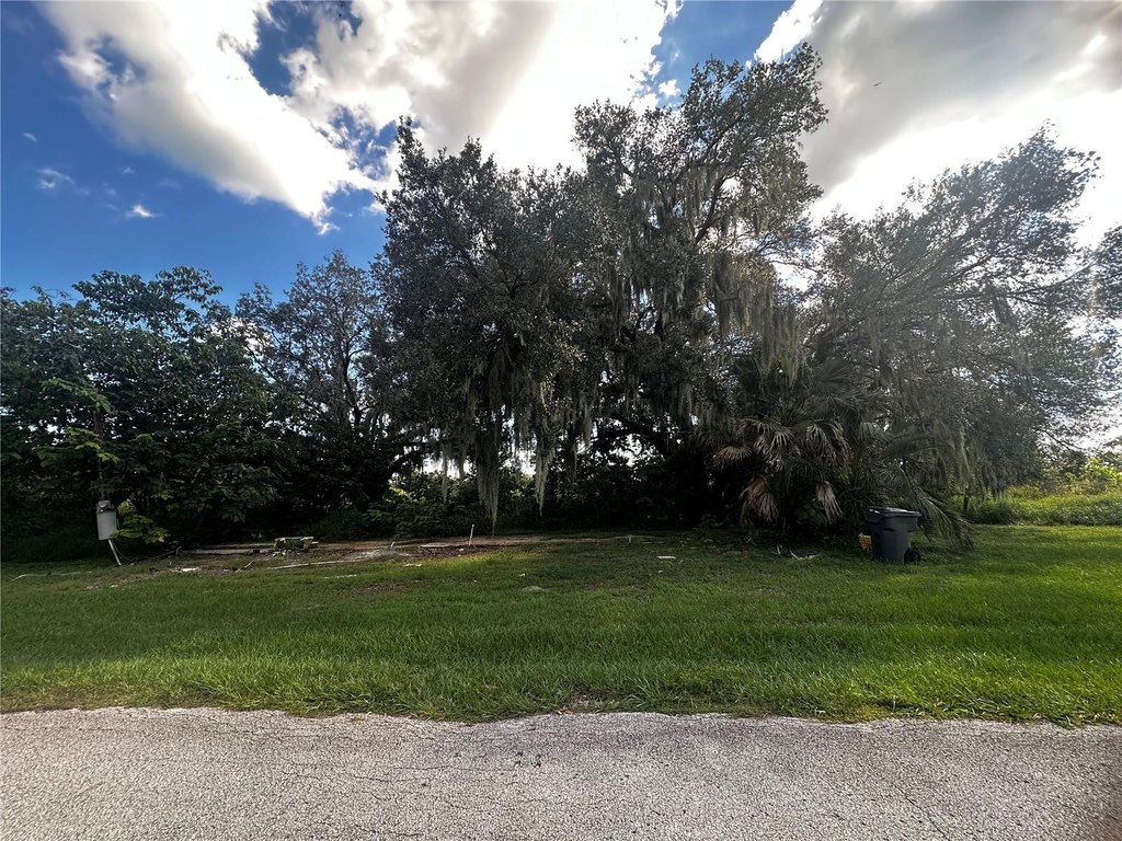 Picture 20