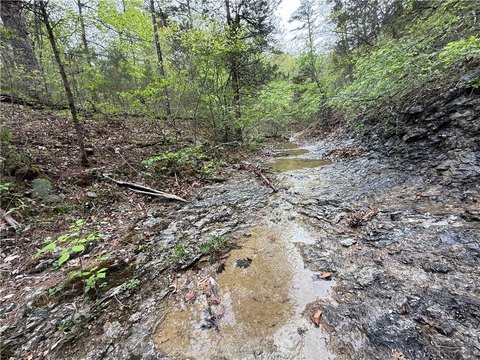 Secluded Acreage in Eureka Springs