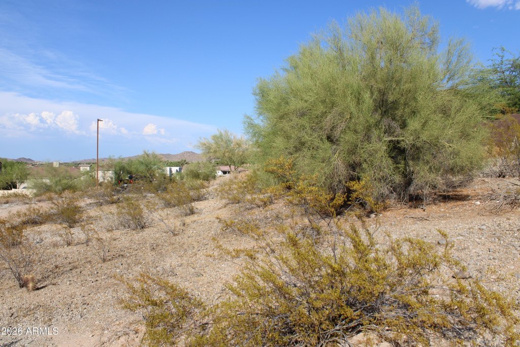 Picture 6