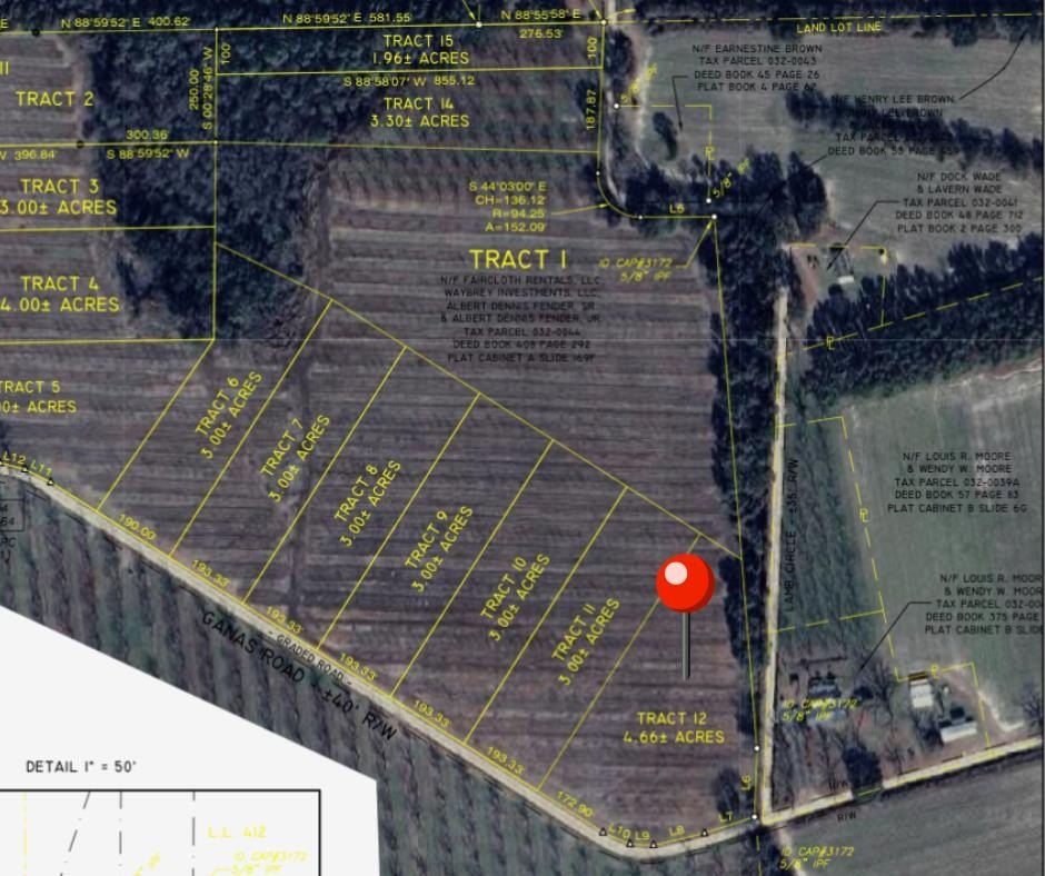 Land in Lanier County