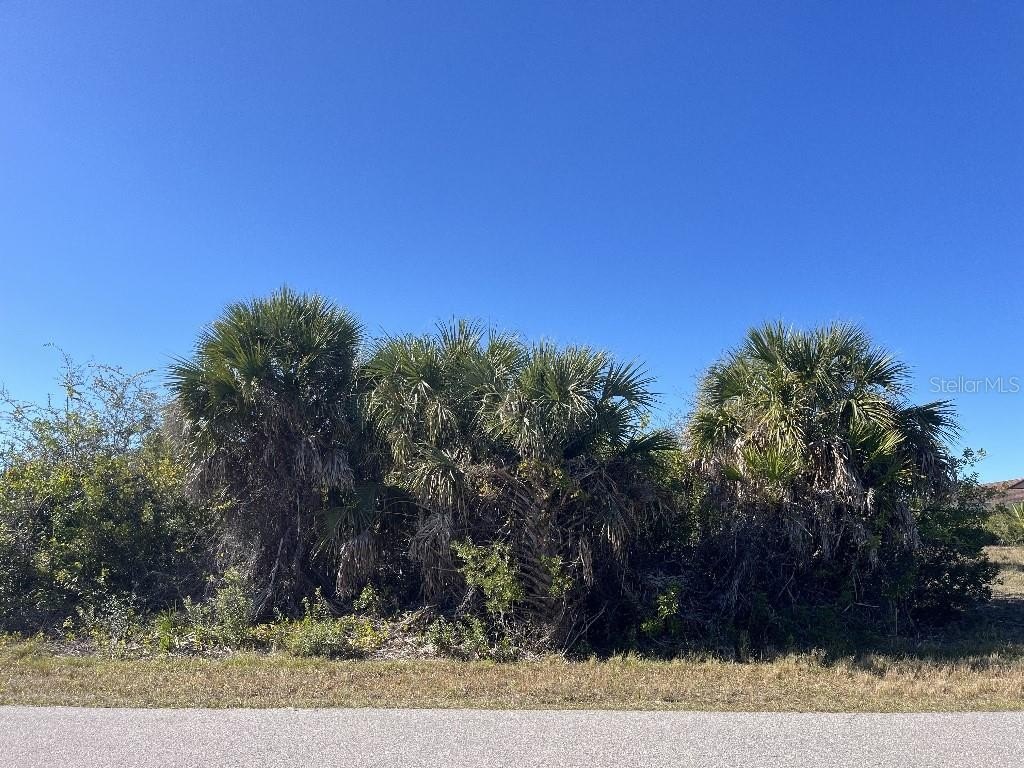 Oversized Lot Backing Bike Trail