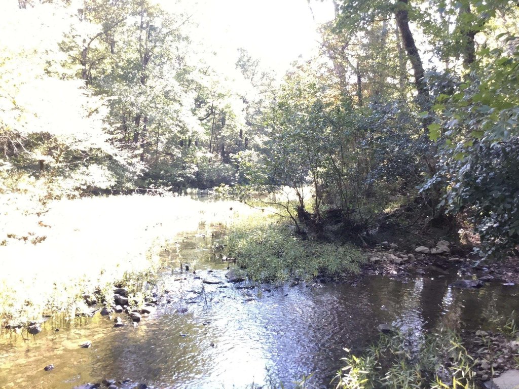 Picture 25