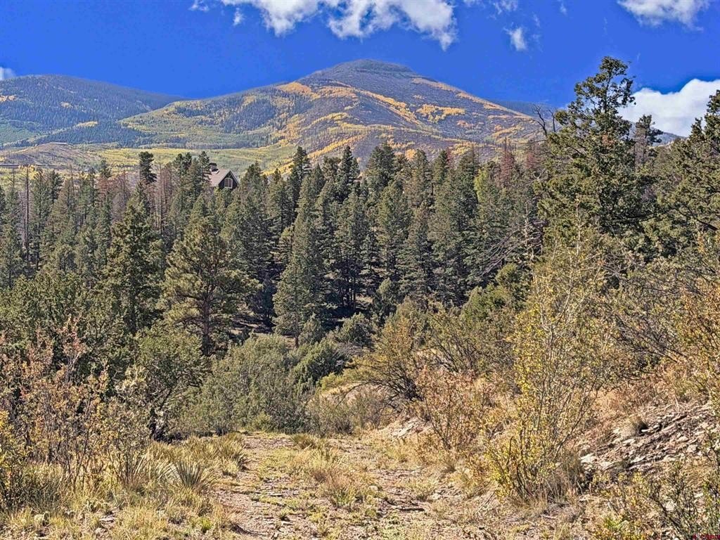 Picture 16