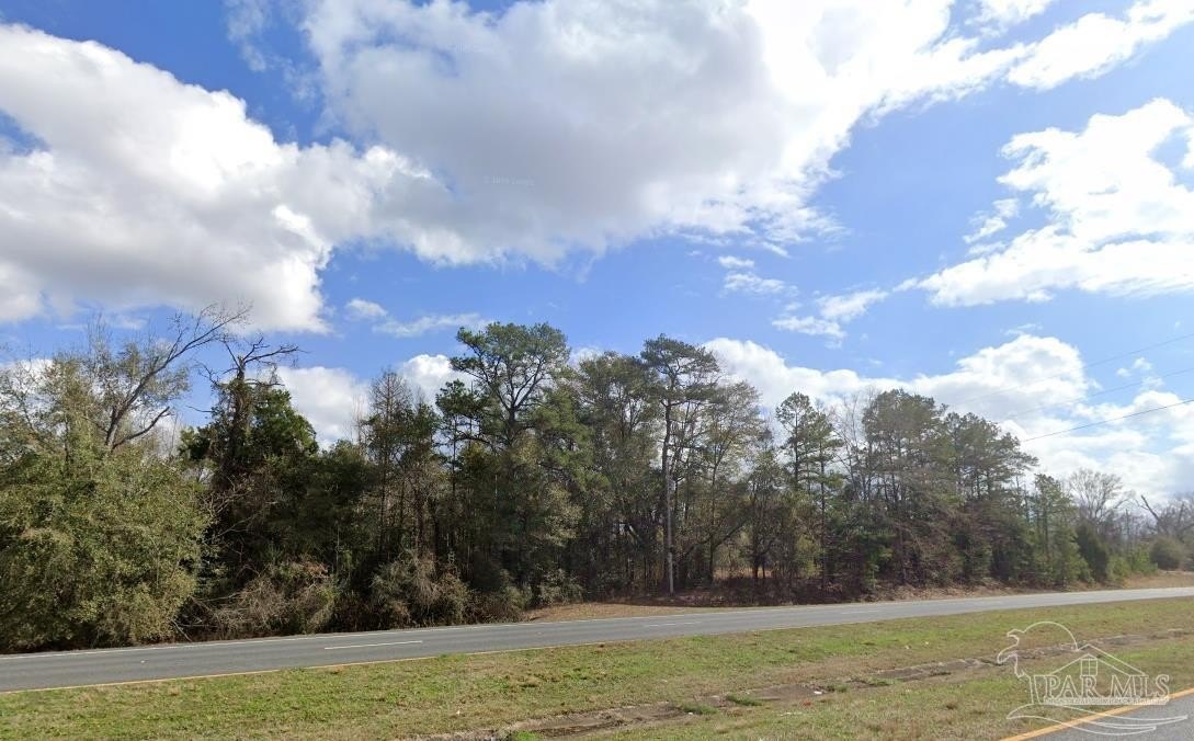 Acreage in Walnut Hill, Florida