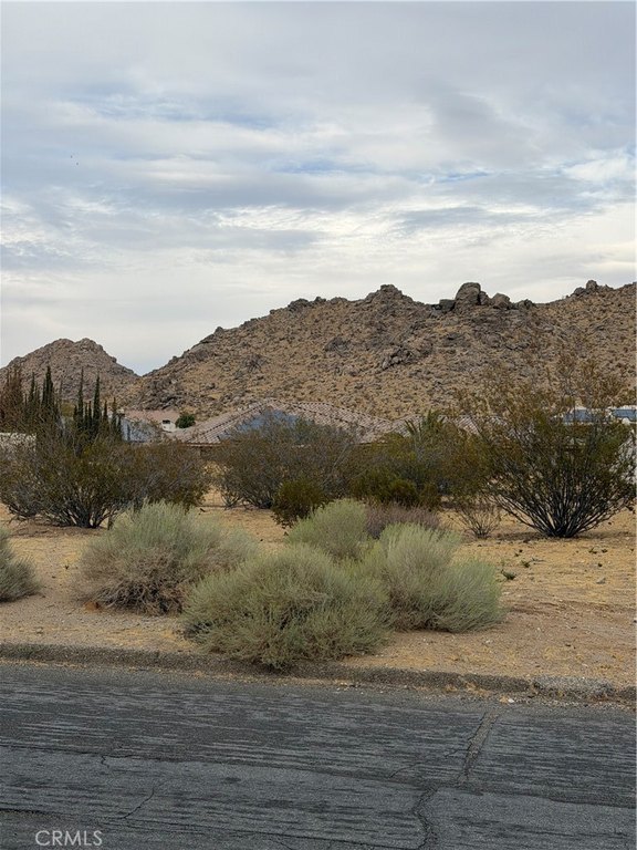 Picture 2