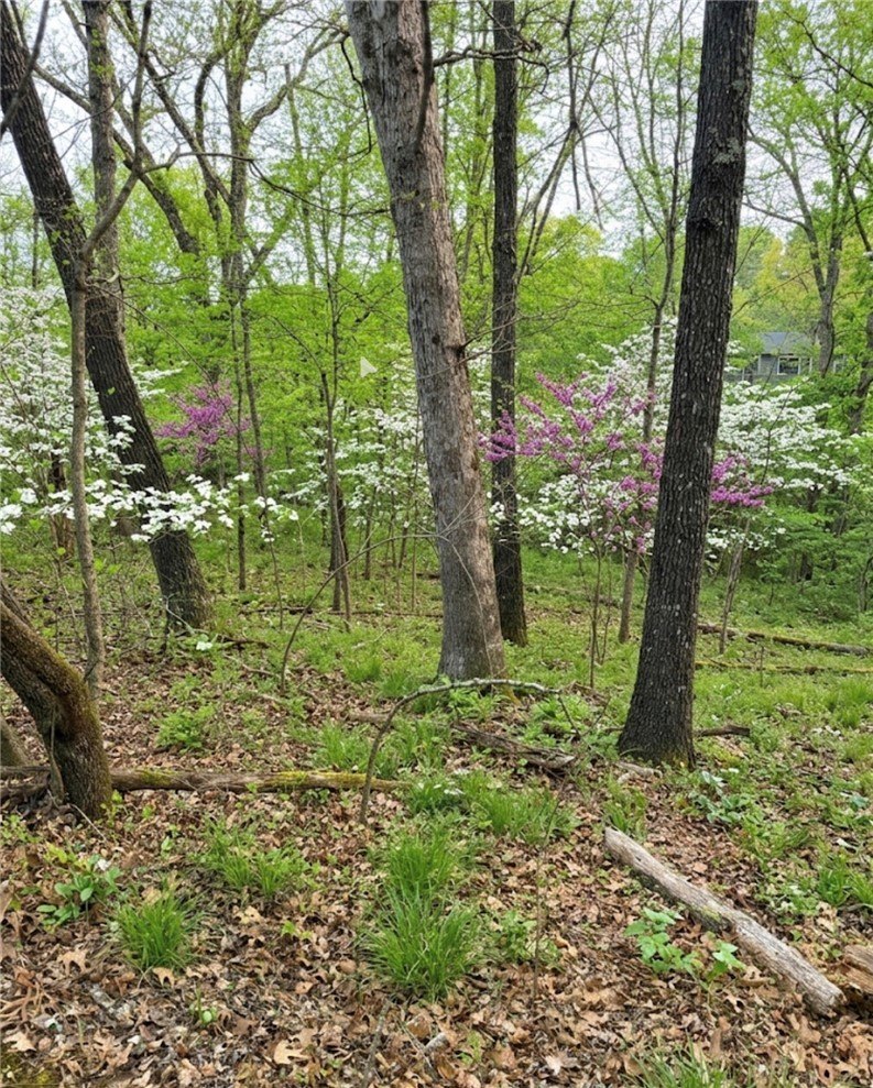 Land in Bella Vista, AR