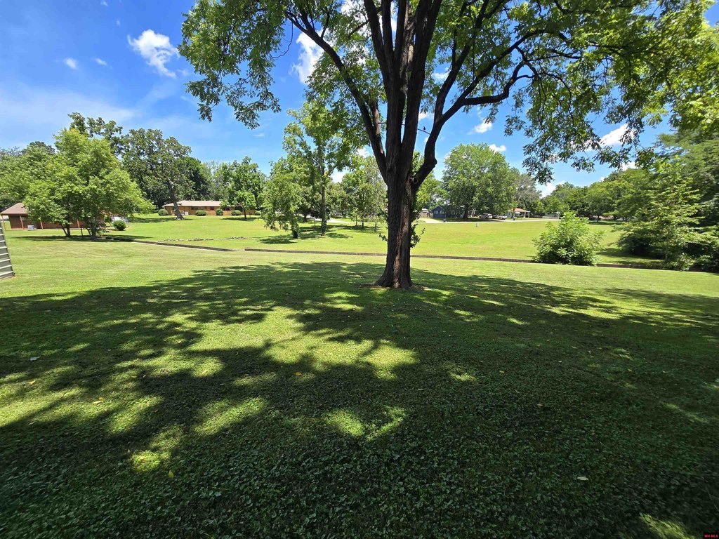 Picture 15
