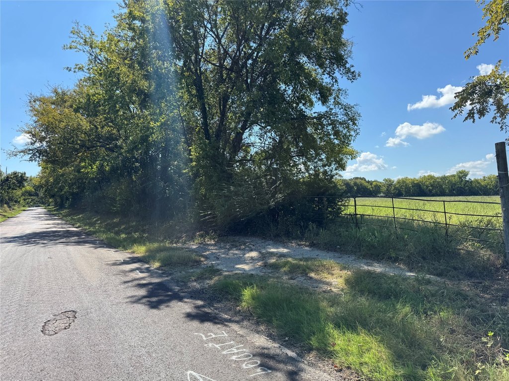 Picture 29