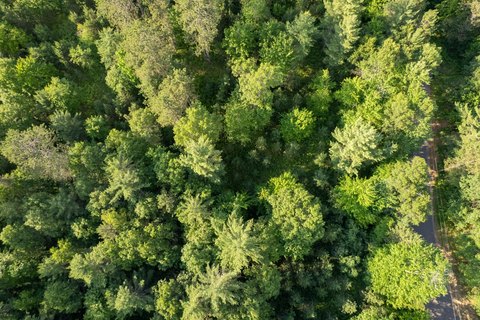 Eagle River Acreage for Sale