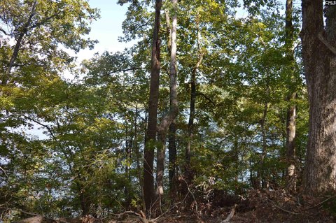 LOTS AND ACREAGE, Winnsboro, SC