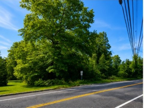 Lots and Land, Warren Twp., NJ