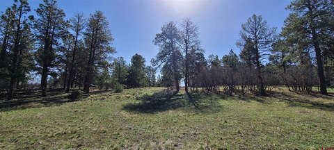 Land For Sale Ridgway, CO
